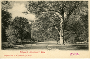 738 Velp, Villapark Overbeek , 1900-1926