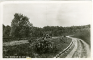 865 Velp, Zandpad in het bos, 1948-05-22