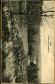 895-0005 Omgeving van het Hotel 'Beekhuizen , Velp , 1910-1920