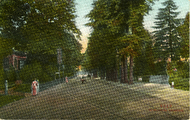 12 Arnhemsestraatweg, 1900-1910