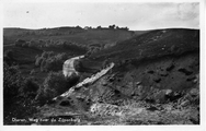 1470 Dieren, Weg naar de Zijpenberg, 1951-08-28