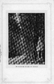 1784 Middachter Allée bij Dieren, 1900-1910