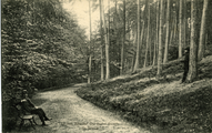 2023 de Steeg, In het Rheder Oordsche bosch, 1910-1920