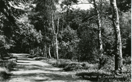 2093 Ellecom, Weg naar de Carolina Hoeve, 1930-1950