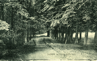 2492 Dieren, Lange Jufferlaan, 1921-07-06