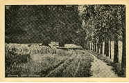 2532 Ellecom, Hoek Zuidlaan, 1920-1930