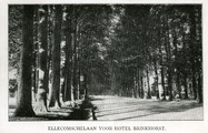 2646 Ellecomschelaan voor Hotel Brinkhorst, 1917