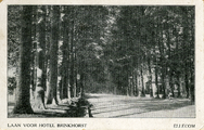 2648 Ellecom, Laan voor Hotel Brinkhorst, 1921-07-16