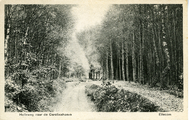 2657 Ellecom, Holleweg naar de Carolinahoeve, 1930-07-14