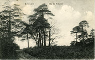 2683 Ellekom, Op de Kijkover, 1911-06-13