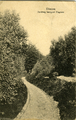 2691 Ellecom, Zandweg landgoed Hagenau, 1921-06-21