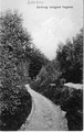 3368 Dieren, Zandweg landgoed Hagenau, 1920-1930