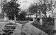 3370 Dieren, Naar de bosschen, 1920-1930