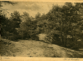 4082-0005 Laag Soeren, In de boschen, 1920-1930