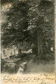 4084 Velp, Ingang Beekhuizer Bosch, 1903-07-04