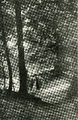 64 Ingang Beekhuizerbosch, Velp, 1920-1930