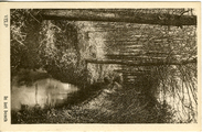 66 Velp, In het bosch, 1910-1930