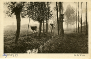 862 Bij Velp?, In de weide, 1930-1940