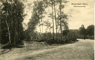 874 Rosendael (Gld.), Beekhuizerweg, 1919-07-25