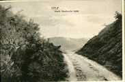 896-0005 Velp - Worth Rhedense heide, 1910-1930