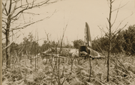 367-0010 Gemeente Renkum, 1945