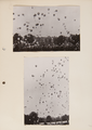 8-0014 GEWAB, 02-07-1958