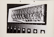 9-0036 GEWAB, 00-00-1959