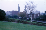 1236 Burgemeester Bloemersweg, 1980-1985