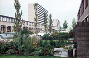 1535 Ridderhof, 1980-1985