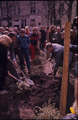 1568 Eiland, 1980-1985