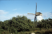 1939 Molenweg, 1980-1985