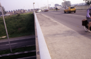 1954 Brinksestraat, 1980-1985