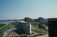 2371 Groningensingel, 1980-1985