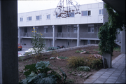 2586 1ste Wijkstraat, 1980-1985