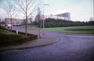 2866 Mendelssohnlaan, 1980-1985