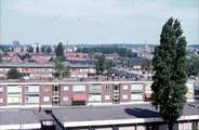 2894 Middelgraaflaan, 1975-1980