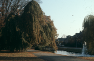 306 Park Angerenstein, ca. 1985