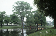 3369 Lauwersgracht, 1980-1985