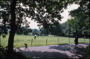 4212 Park Klarenbeek, 1980-1985