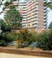 621 Hollandweg, ca. 1995