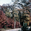 8544 Schaarsbergen, 1960-1965