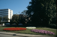 974 Bouriciusstraat, 1980-1985
