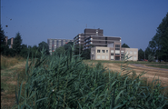 614 Hollandweg, 1990 - 1995