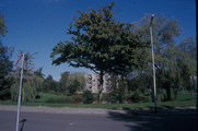 766 Kloosterstraat, 1990 - 2000