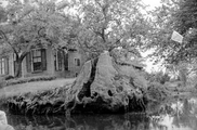 14106 Rotary in Giethoorn met Engelse gasten, 26-05-1949