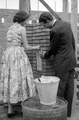 18903 Wortelboer, Oosterbeek, 05-07-1956
