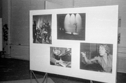 19156 World Press Tentoonstelling 1956, De Populier, 1956