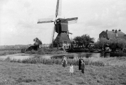 19193 Landschap met molen, 1955