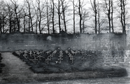 3915 Airborne War Cemetery, Maart 1946