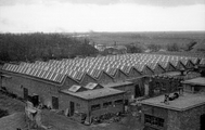 7174 Heveafabrieken Doorwerth, 29-11-1946